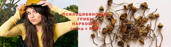 соль курить ск Алзамай