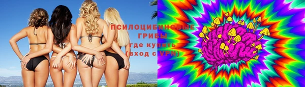 соль курить ск Алзамай